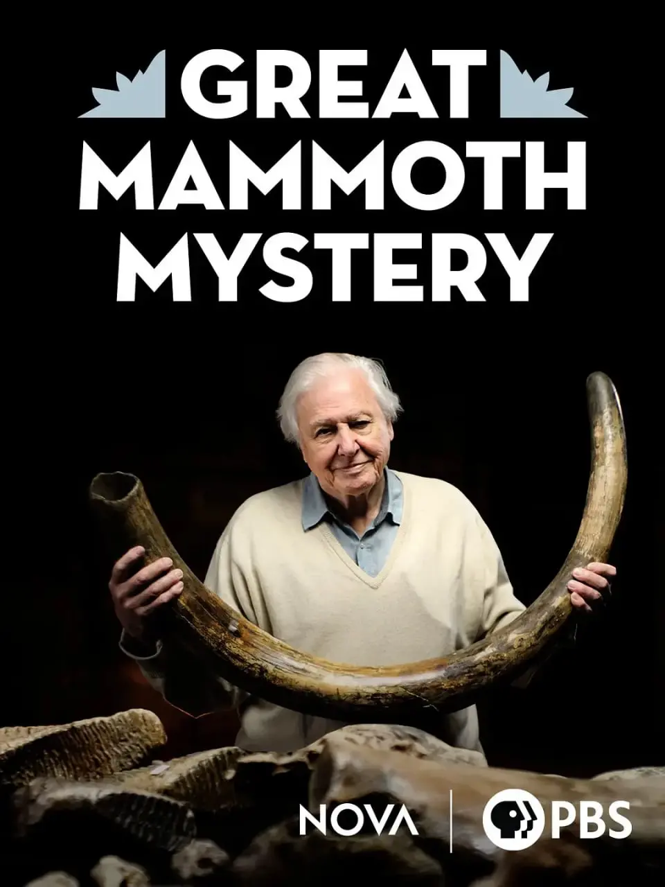 《爱登堡与猛犸墓地》：冰河时代巨兽的秘密，一场跨越时空的对话！