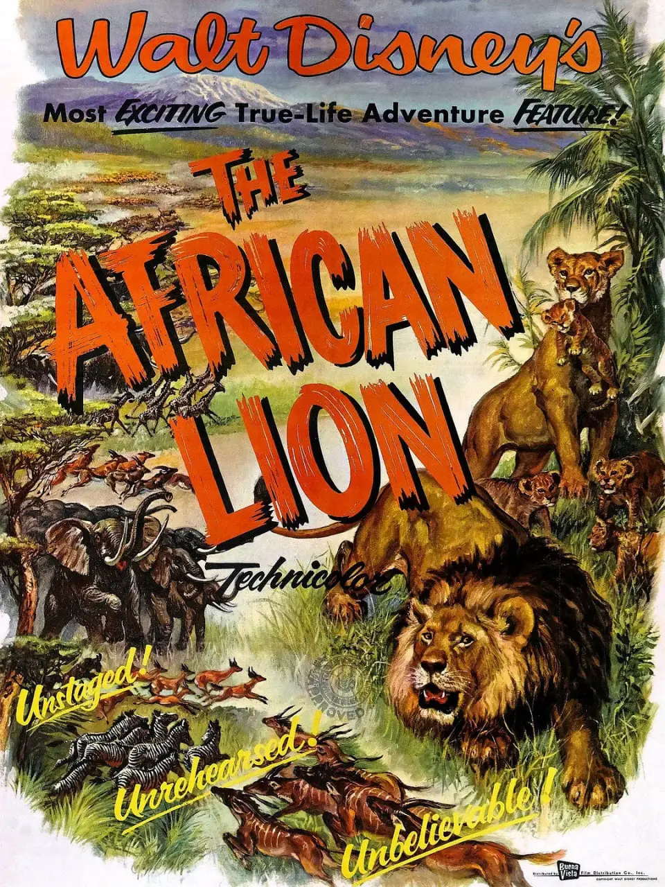 《猛兽 1955》：美国小镇的阴暗面！一场意外引发的血腥复仇与人性沦丧