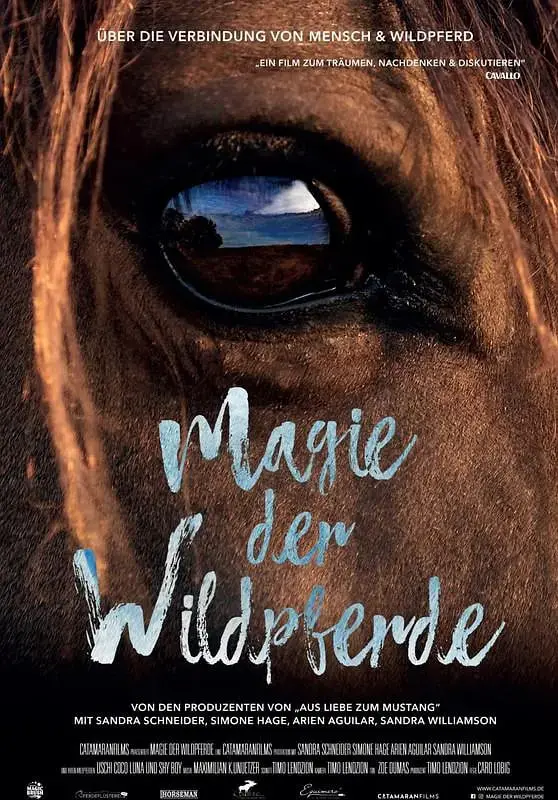 《野马的魔力》：自由奔腾的灵魂，一段人与自然的治愈之旅 | 影评