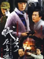 《刺杀灰喜鹊》：惊险谍战，命运交织，谁能逃脱宿命的罗网？