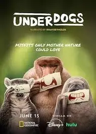 《废柴英雄》：当菜鸟变身超级英雄，笑料百出的反差萌冒险！